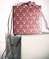 Weihnachtsspecial 2016: tfactory Lehrlingspaket - Details zu unserem Lehrlingspaket